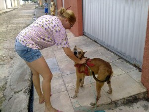 Animal é bem tratado por voluntária da Apipa