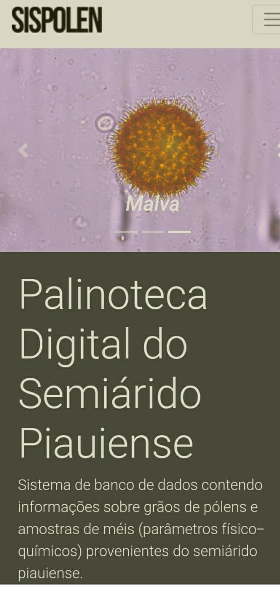 foto 420200921151656