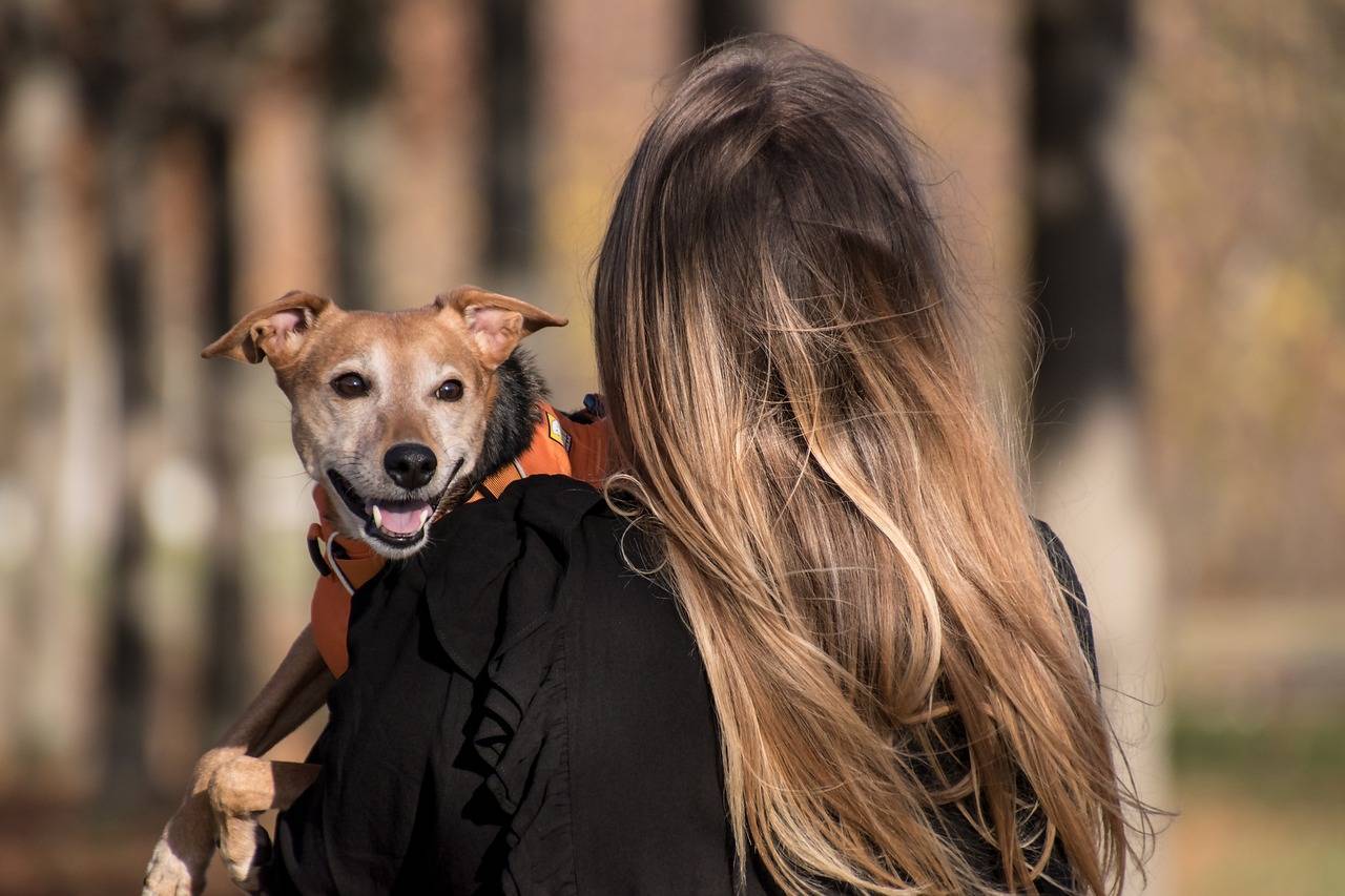 adotar-um-pet-e-ato-de-amor-que-precisa-ter-muita-responsabilidade-pixabay-2_e7090a3eb7e8341d6b53d3e708c0fa11f87e7653.jpg