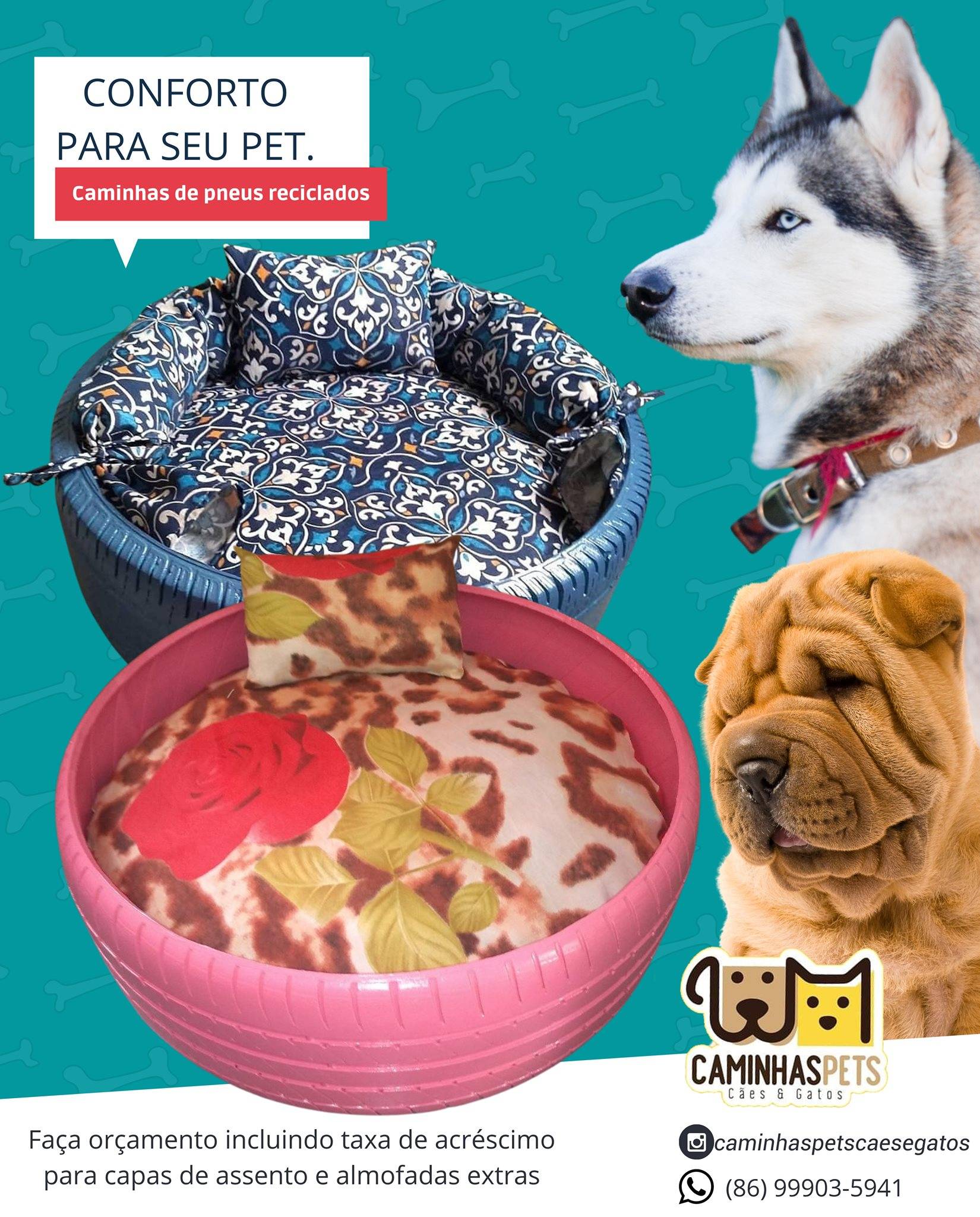 bannerpet2_e92859c3daa37a2d151b3ff5c663c37f798deda6.jpg