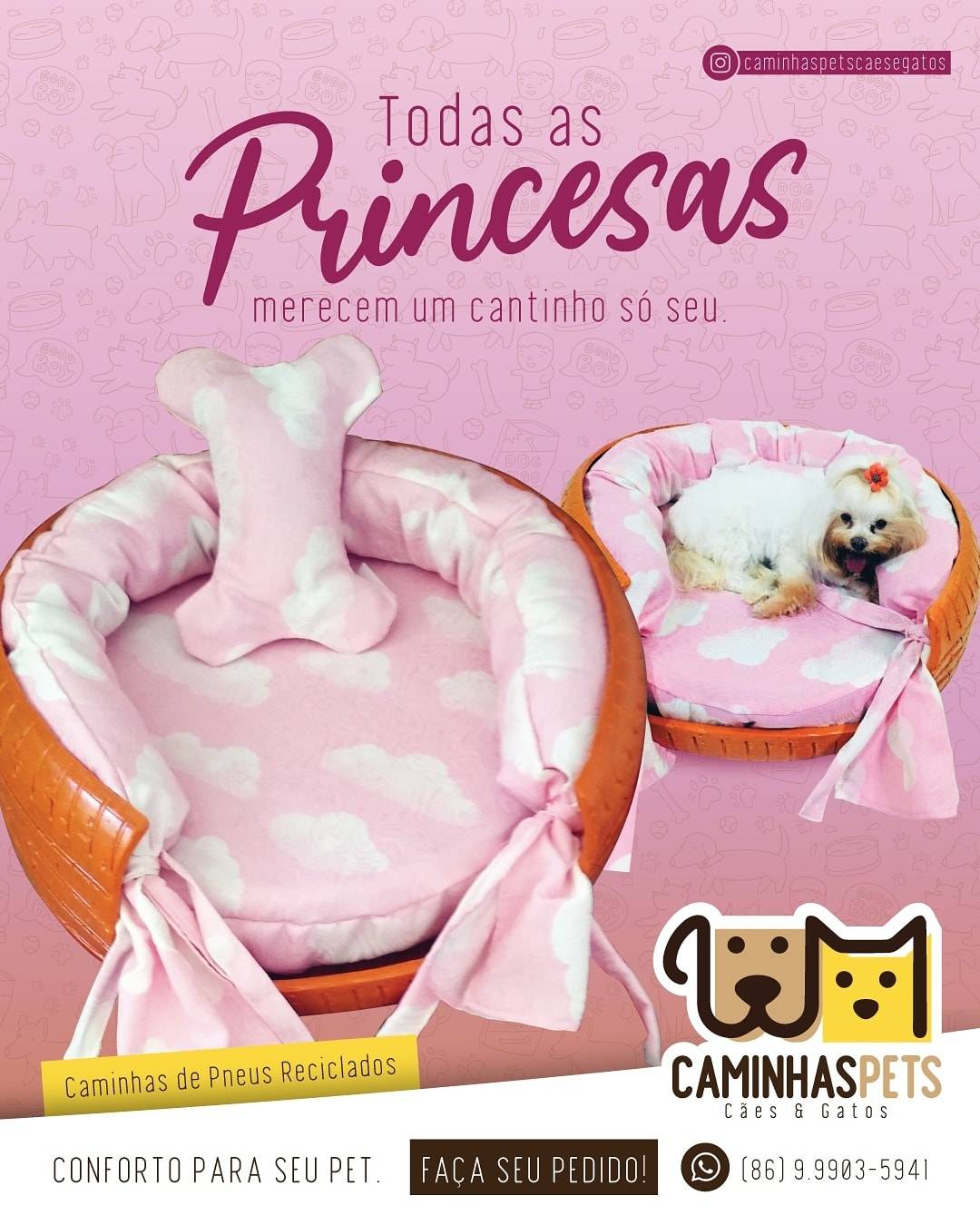 caminhas-pets-princesas_0cf083ba9c60593a1b1e300a253dd6289b5f7bfa.jpg