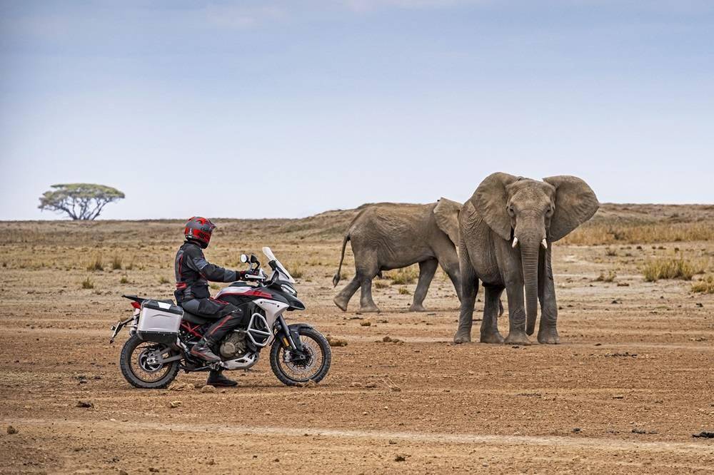 ducati-estreia-versao-da-multistrada-v4-rally-adventure-no-brasil-divulgacao-1_0e25a49467bba8637144a9d445ac6dc3cd219cb2.jpg