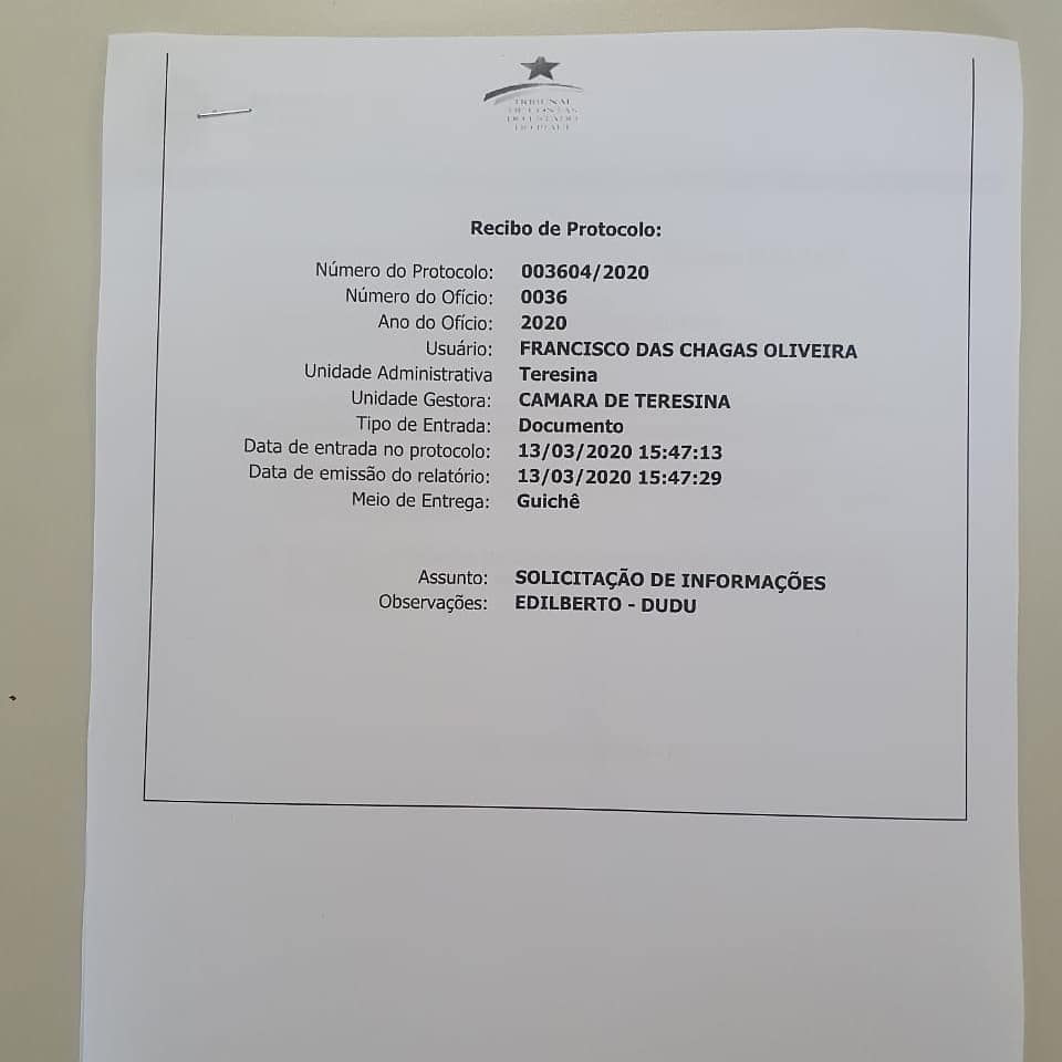 protocolo-tce-pi-3_dafea33c28c16b43197cfa0ac2af140b4b6d8fd7.jpeg