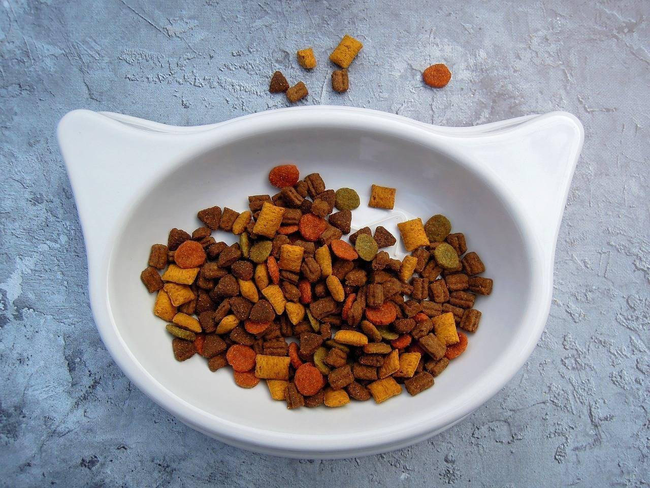 suplementos-podem-fazer-parte-da-dieta-dos-pets-atual-pixabay-2_43af9ab3eb4e454c3cdd593738937b0870e361eb.jpg