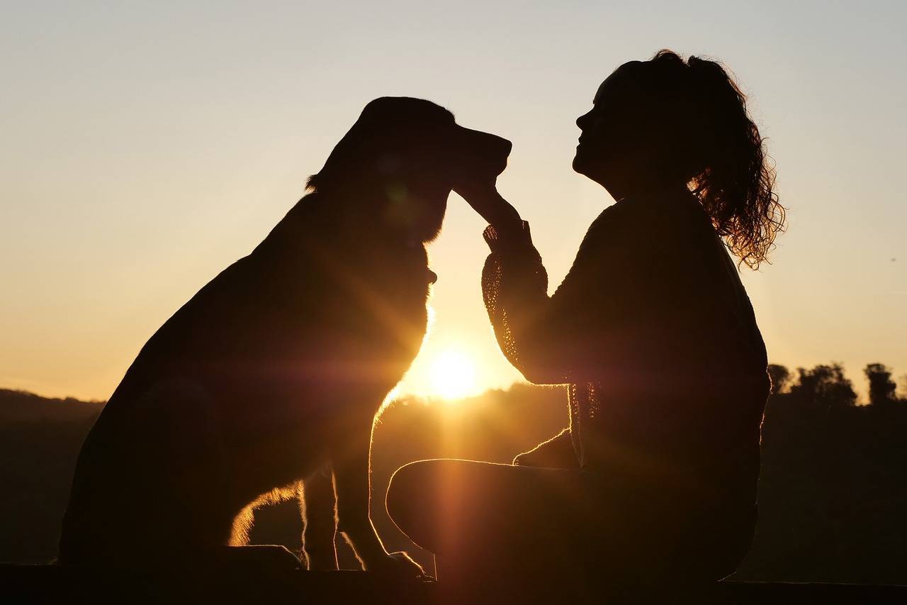 terapia-com-animais-auxilia-na-recuperacao-de-pacientes-pixabay-1_727a49993fff327b6c16bfad237aad0e7285aefa.jpg