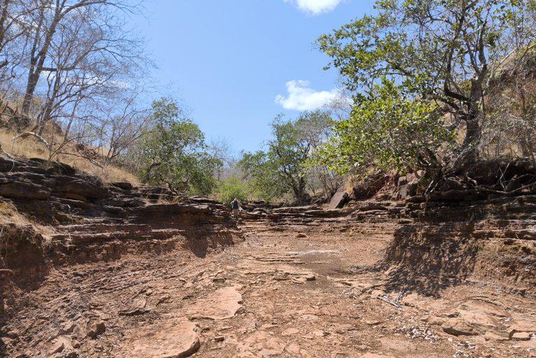 Região do rio Parnaíba promete se tornar uma potência nas novas riquezas do século 21
