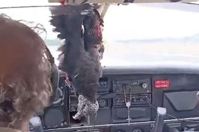 O momento da colisão entre o avião e o urubu