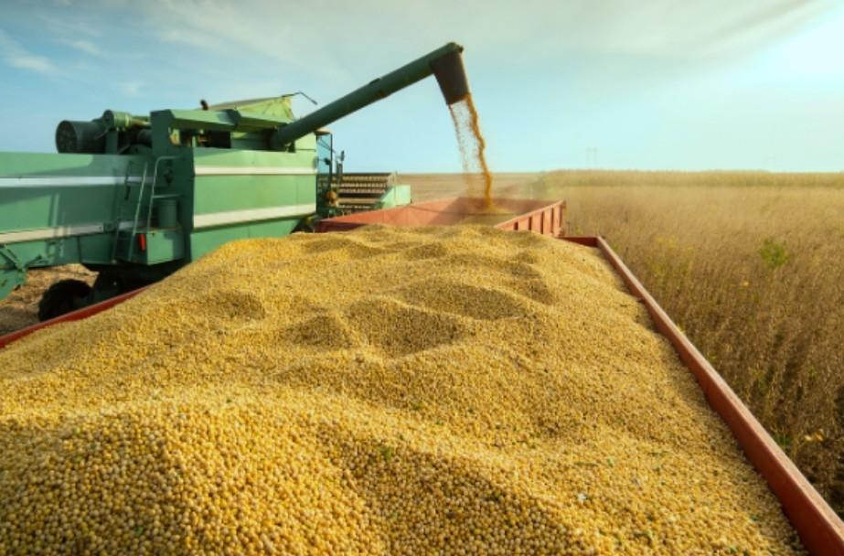 Piauí amplia área de soja em 32 mil hectares e chega a 1,1 milhão, aponta Serasa