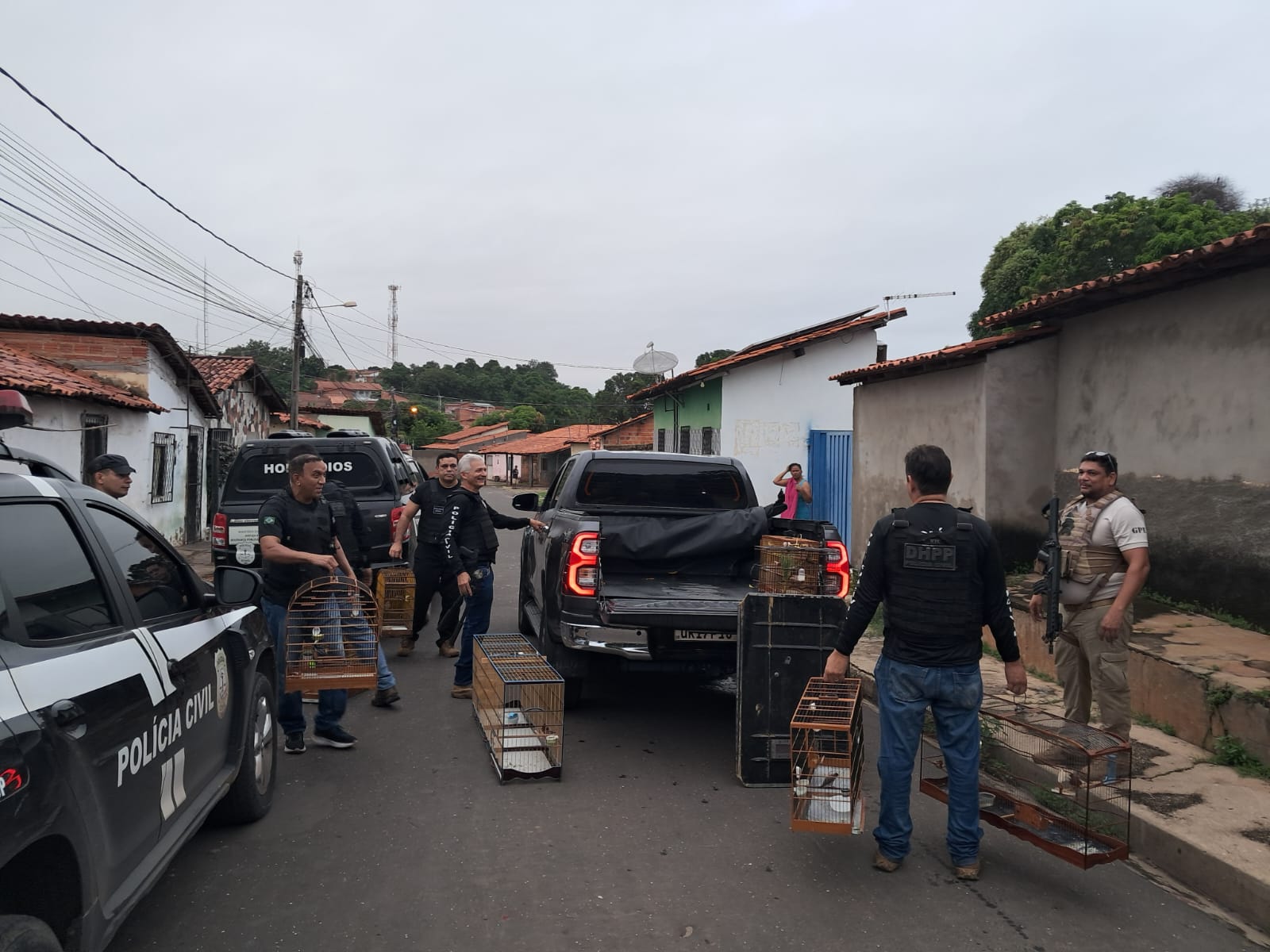 Operação "A Casa Caiu"