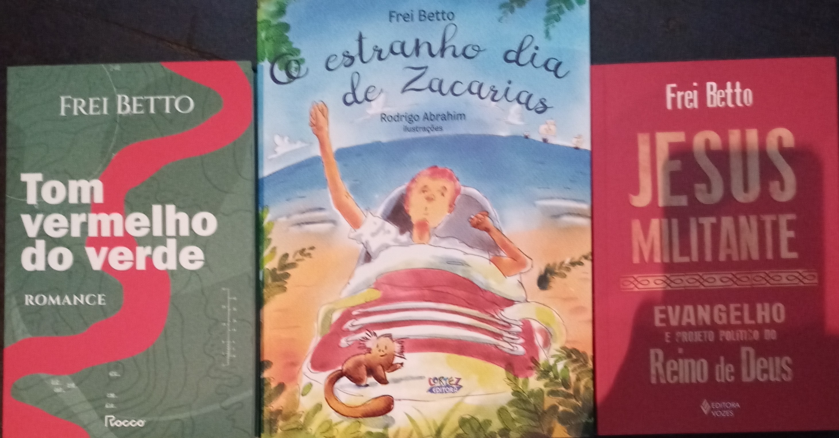 Livros lançados por Frei Berto em Teresina