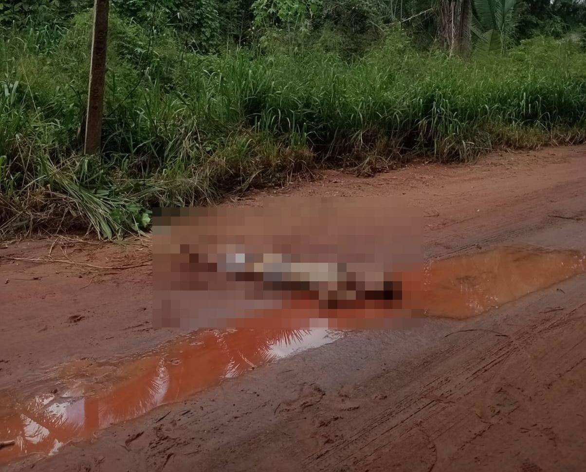 Jovem de 20 anos morto a tiros