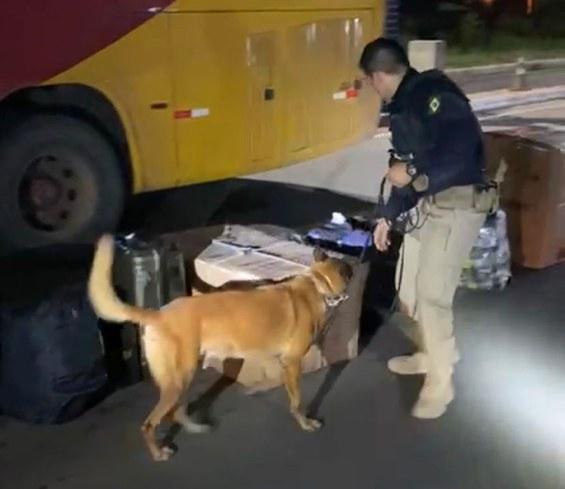 Droga é encontrada em bagagem dentro de ônibus