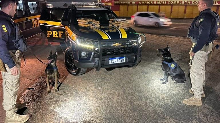 Droga foi encontrada em malas no bagageiro de ônibus abordado pela PRF na BR-343, em Teresina.