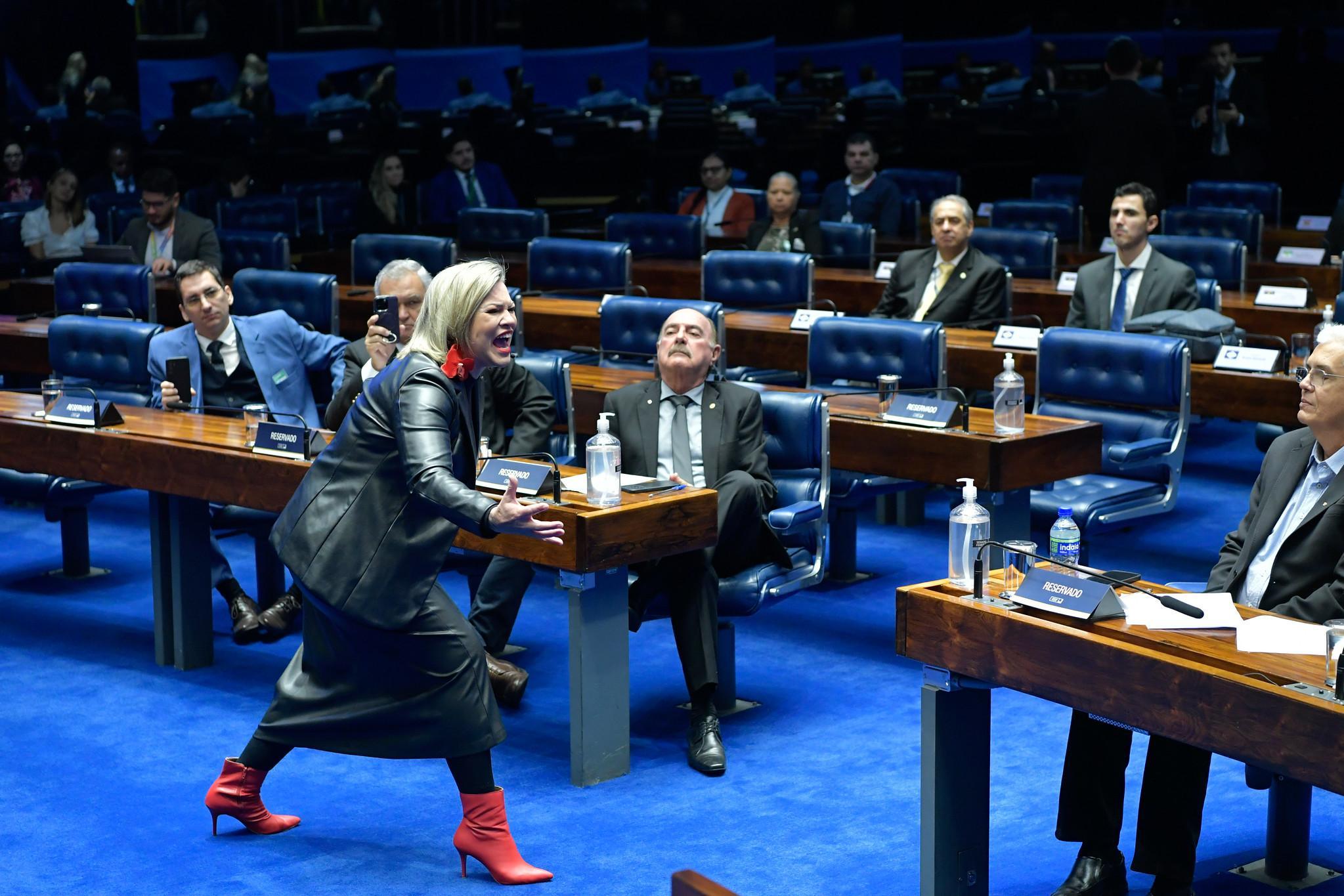 Parlamentares acompanham contação de história em sessão especial, apresentada por Nyedja Gennari