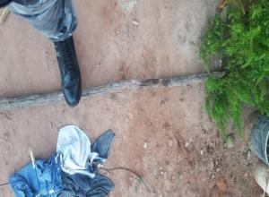 Suspeito de agredir ex a pauladas tem prisão domiciliar decretada