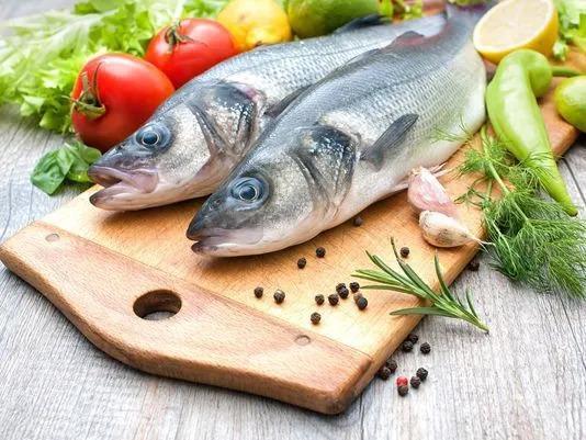 Governo suspende pesca de tainha por arrasto de praia após cota atingir 90% do limite.