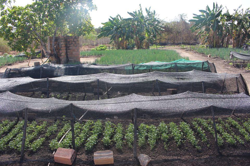 Agricultura familiar
