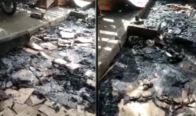 Gatos são carbonizados