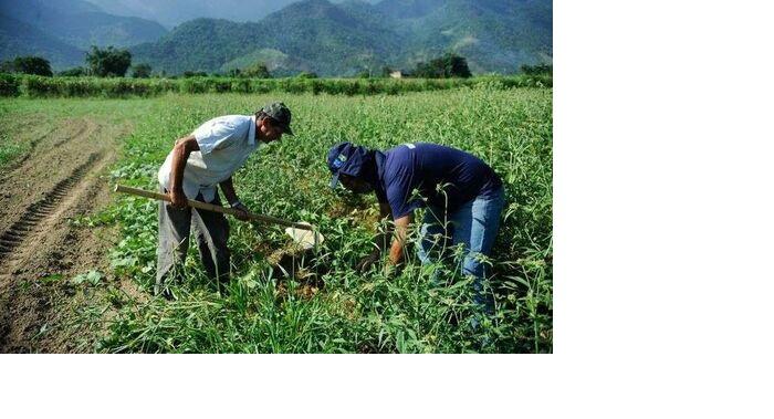 Agricultura