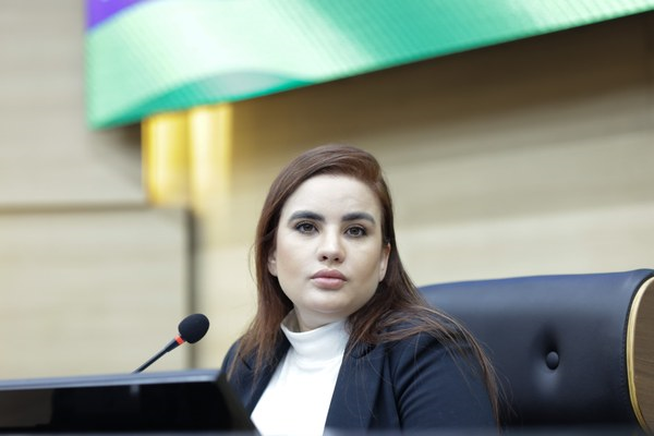 Alepi vai regulamentar licença-maternidade de Bárbara do Firmino; 1º caso no Piauí