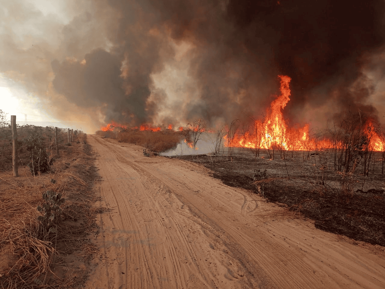 Incêndio de grandes proporções em Canto do Buriti