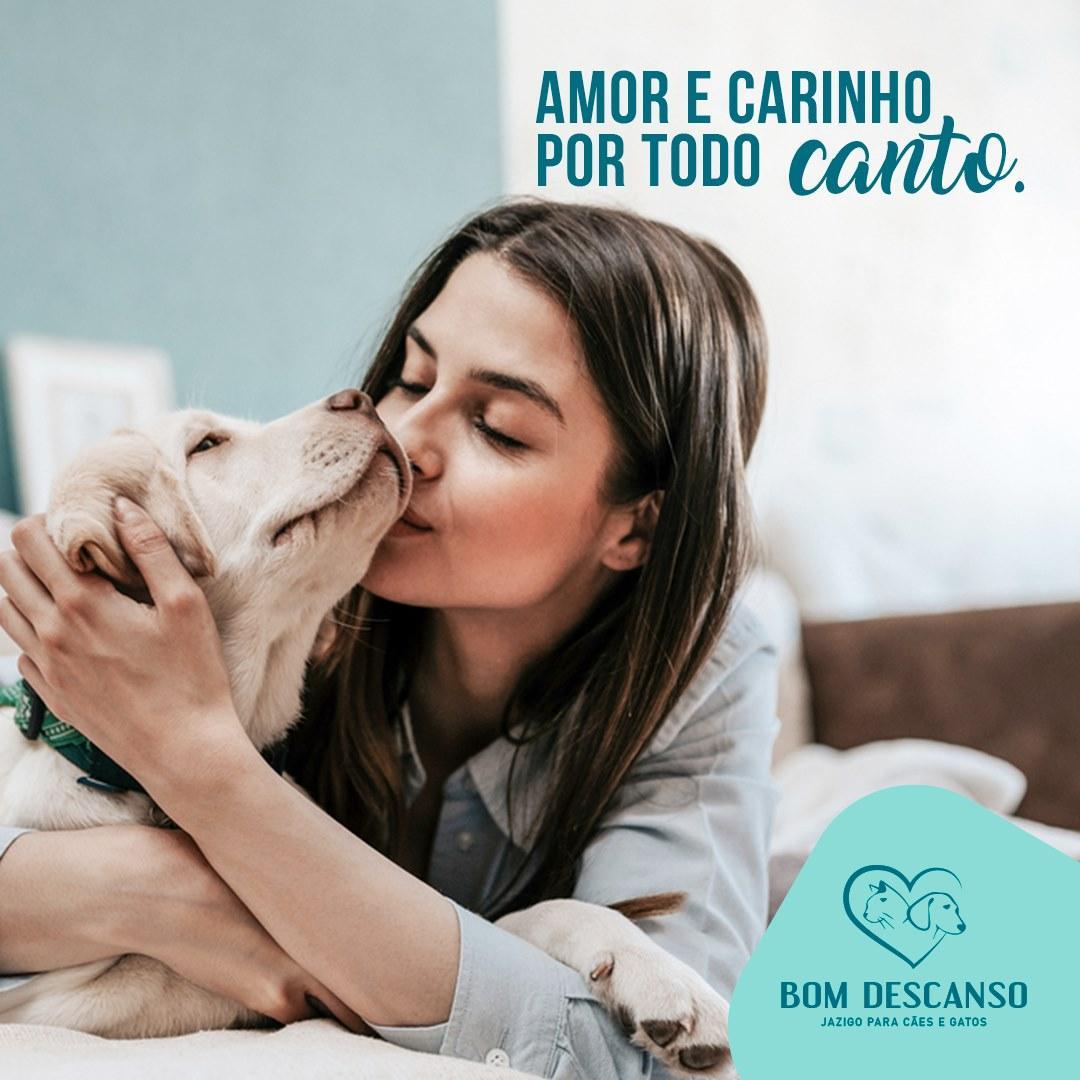 Teresina dispõe de cemitério para cães e gatos legalizado pela PMT