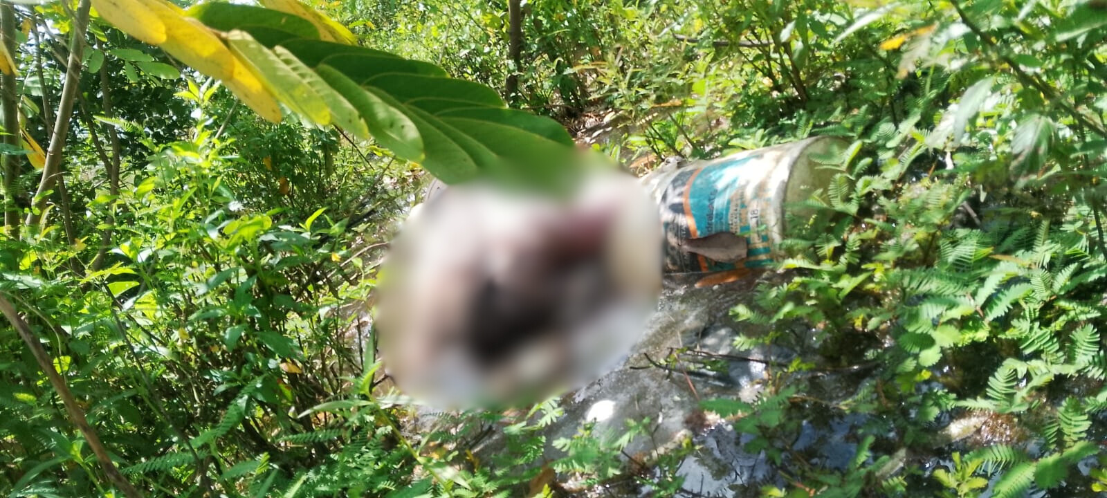 Corpo é encontrado em córrego na zona Norte de Teresina