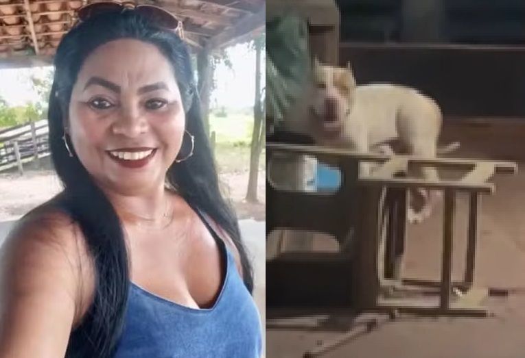 Pitbull ataca e mata tutora dentro de casa na zona rural de Bacabal, no Maranhão