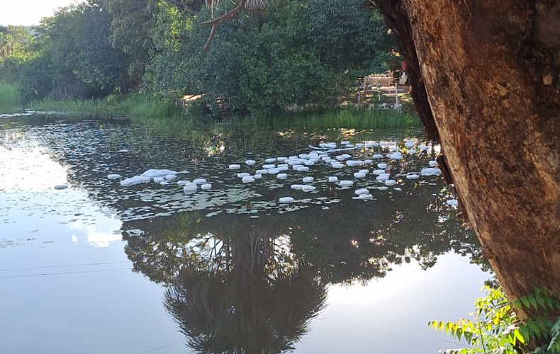 Galões com veneno no riacho Esfolado em Bertolínia