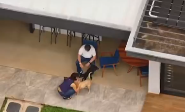 Jair Bolsonaro brinca com os cães no primeiro dia de prisão domiciliar