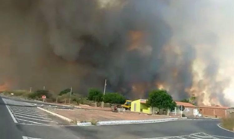 Incêndio florestal em Pio IX