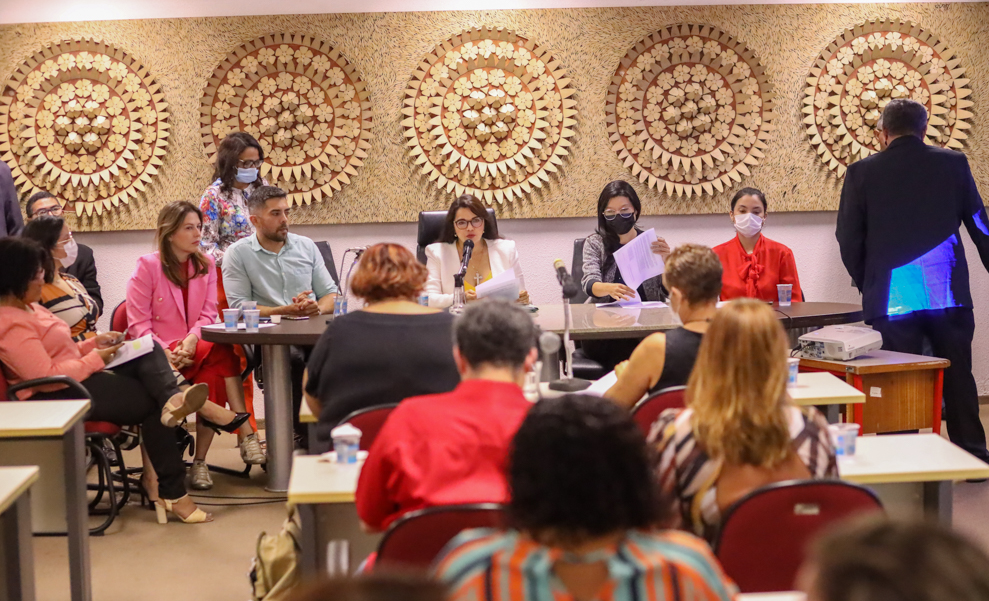 Audiência pública debate sobre lei do parto humanizado