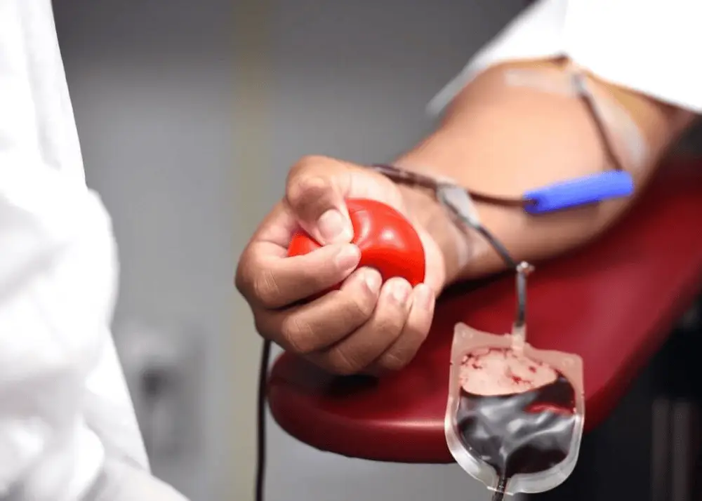 Ministério da Saúde altera regras para doação de sangue; veja o que muda