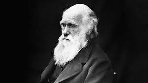 Charles darwin