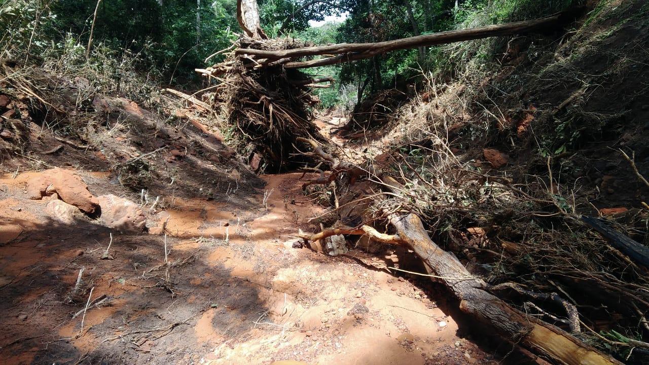 Árvores arrancadas com a força das águas que romperam bacias de contenção em parque solar