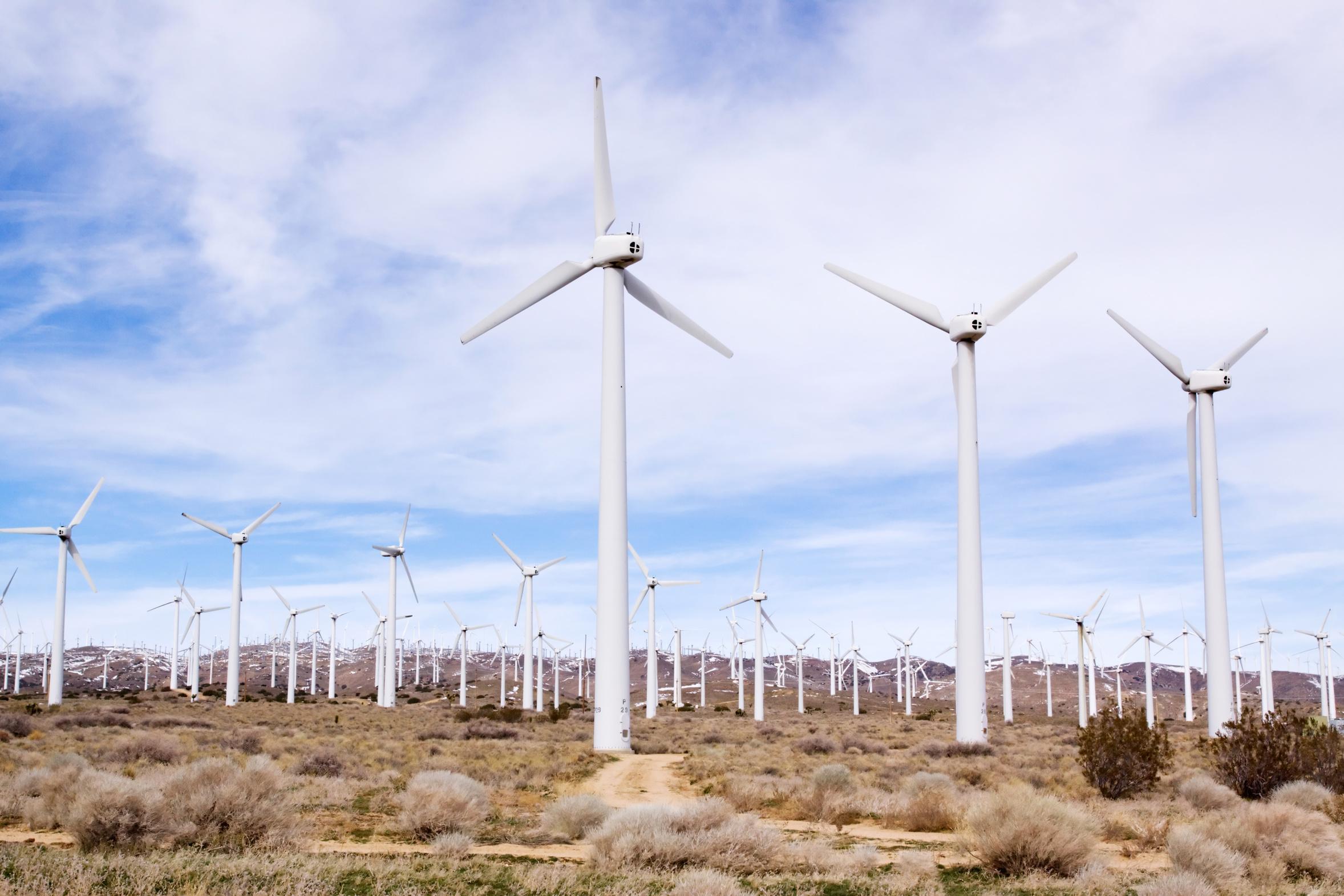 Energia eólica