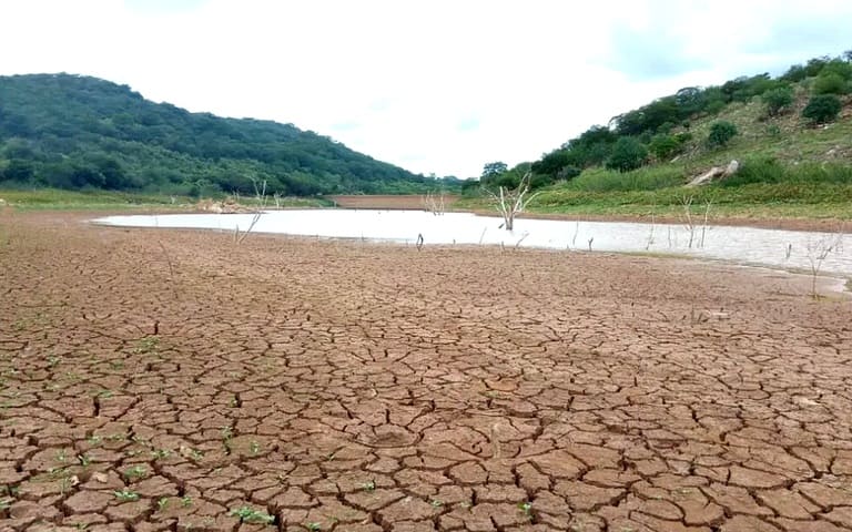 Seca se agrava e Piauí decreta emergência em 117 municípios; veja lista