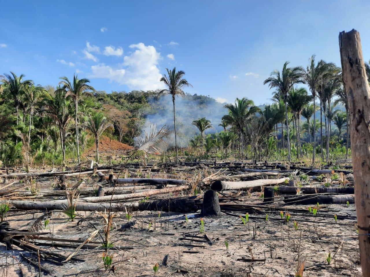 Novo assentamento do INCRA em Teresina está devastado