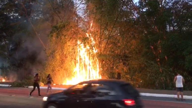 Incêndio teve início próximo ao Rio Poty Hotel na zona Sul de Teresina