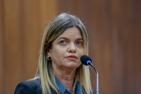 Deputada Gracinha Mão Santa (PP)