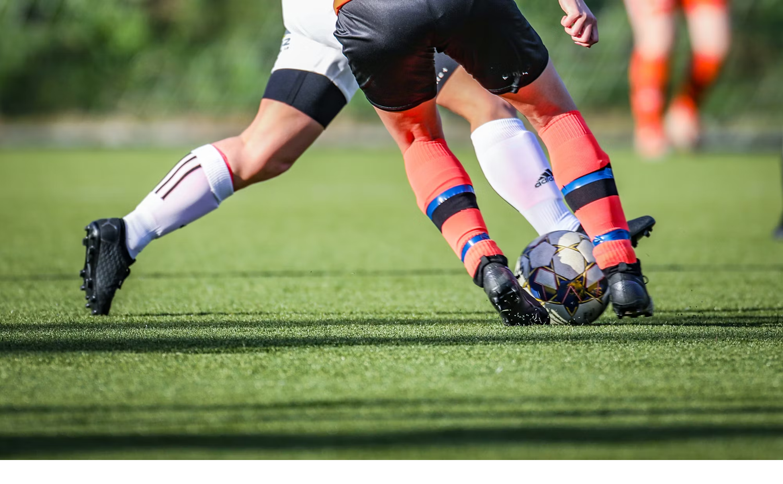 Palmeiras é favorito a vencer o Brasileirão? Descubra o que dizem as odds