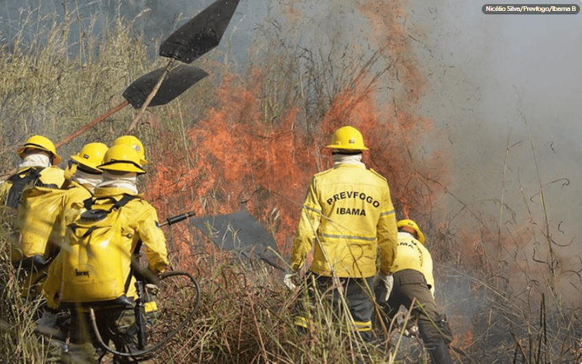 IBAMA -  Ações  combate a incêndios