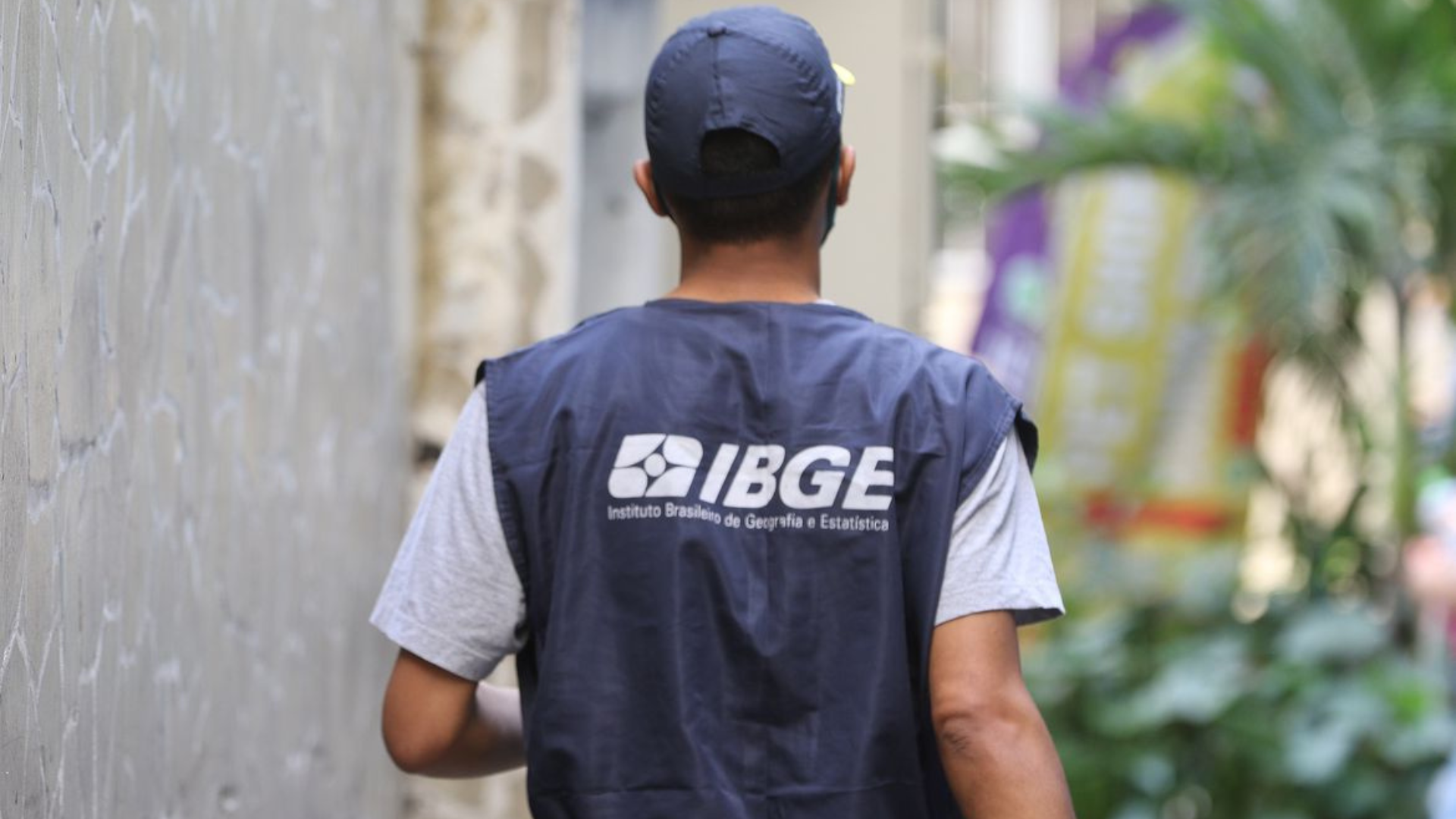 IBGE abre 356 vagas no Piauí para o Censo Agropecuário; salários chegam a R$ 4 mil