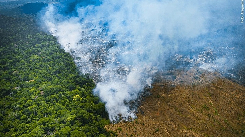 Desmatamento na Amazônia