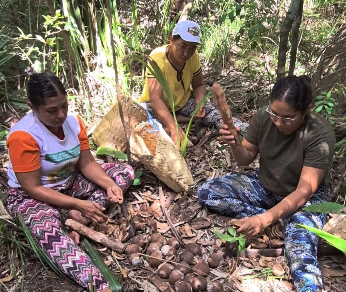 Quebradeiras de coco resistem no Norte do Piauí