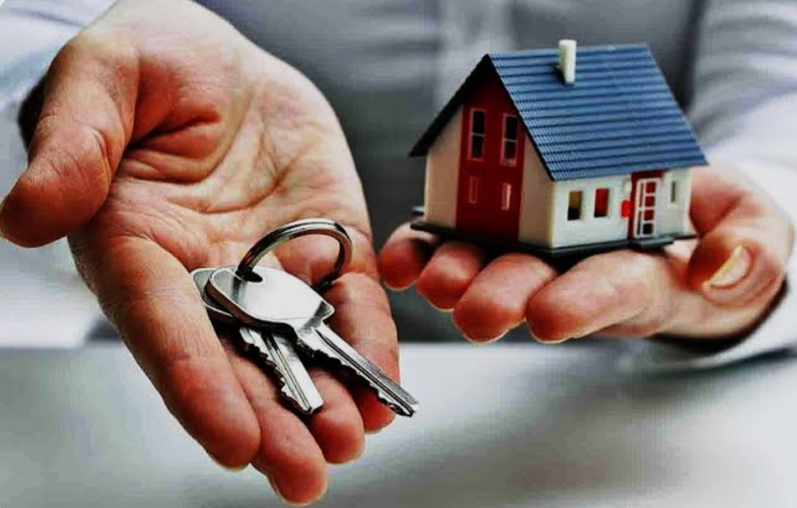 Ingratidão: por que alguns brasileiros que prosperaram “cospem no prato que comeram”?