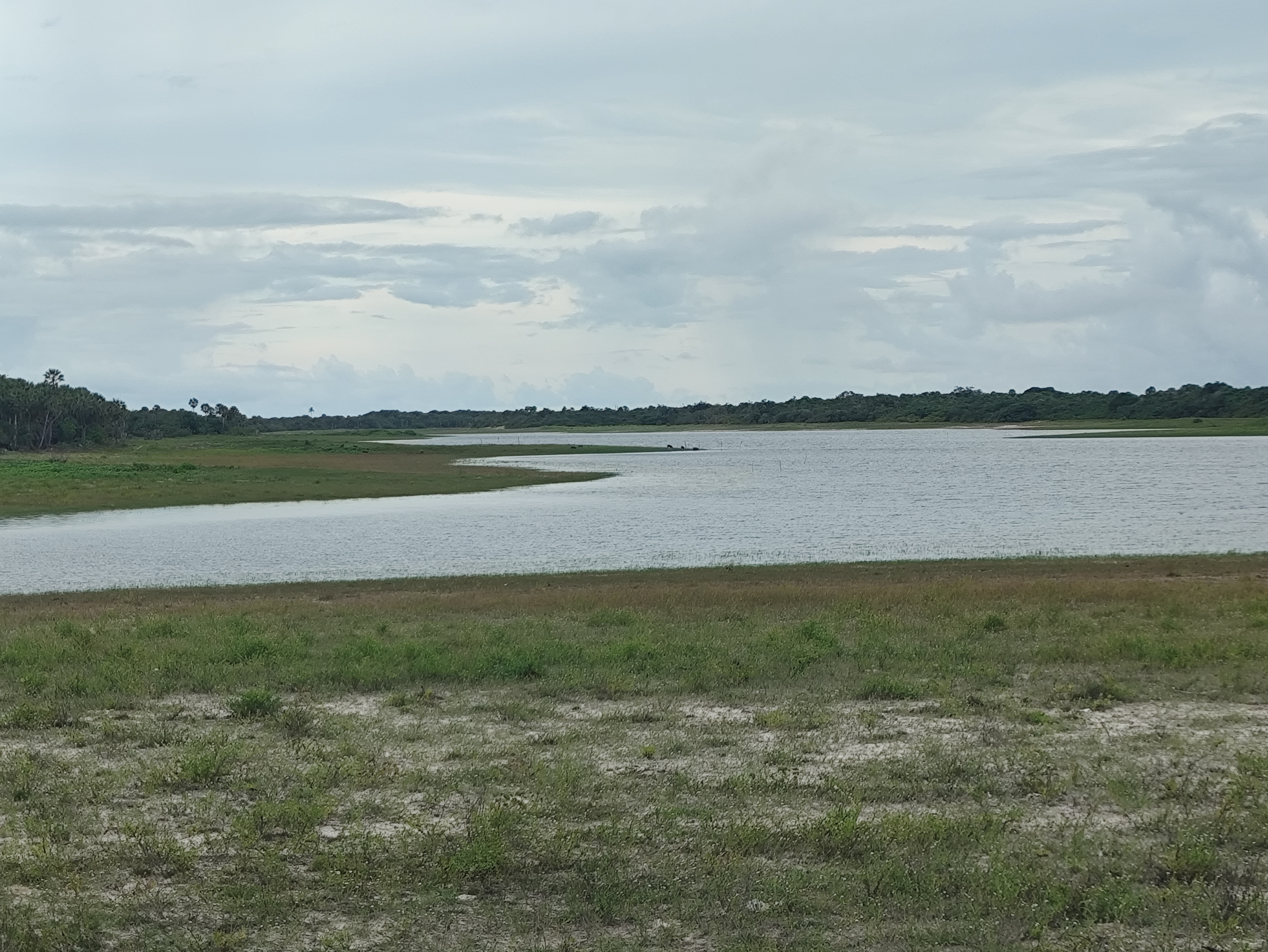 Lagoa do Comurupim um lugar lindo e ainda desconhecido no litoral do Piauí