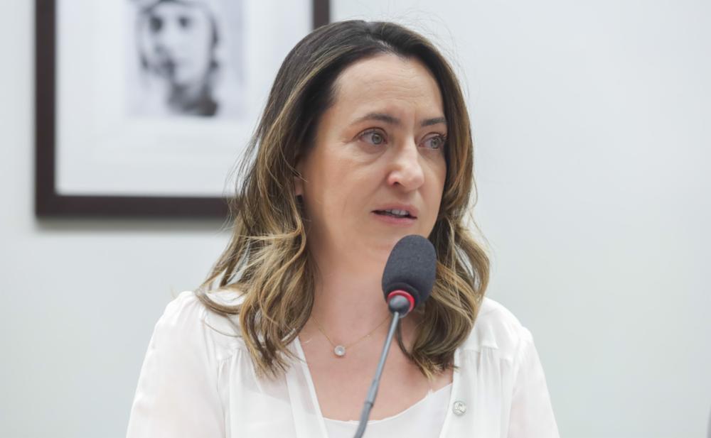 Deputada federal Rosangela Moro (UNIÃO-SP)