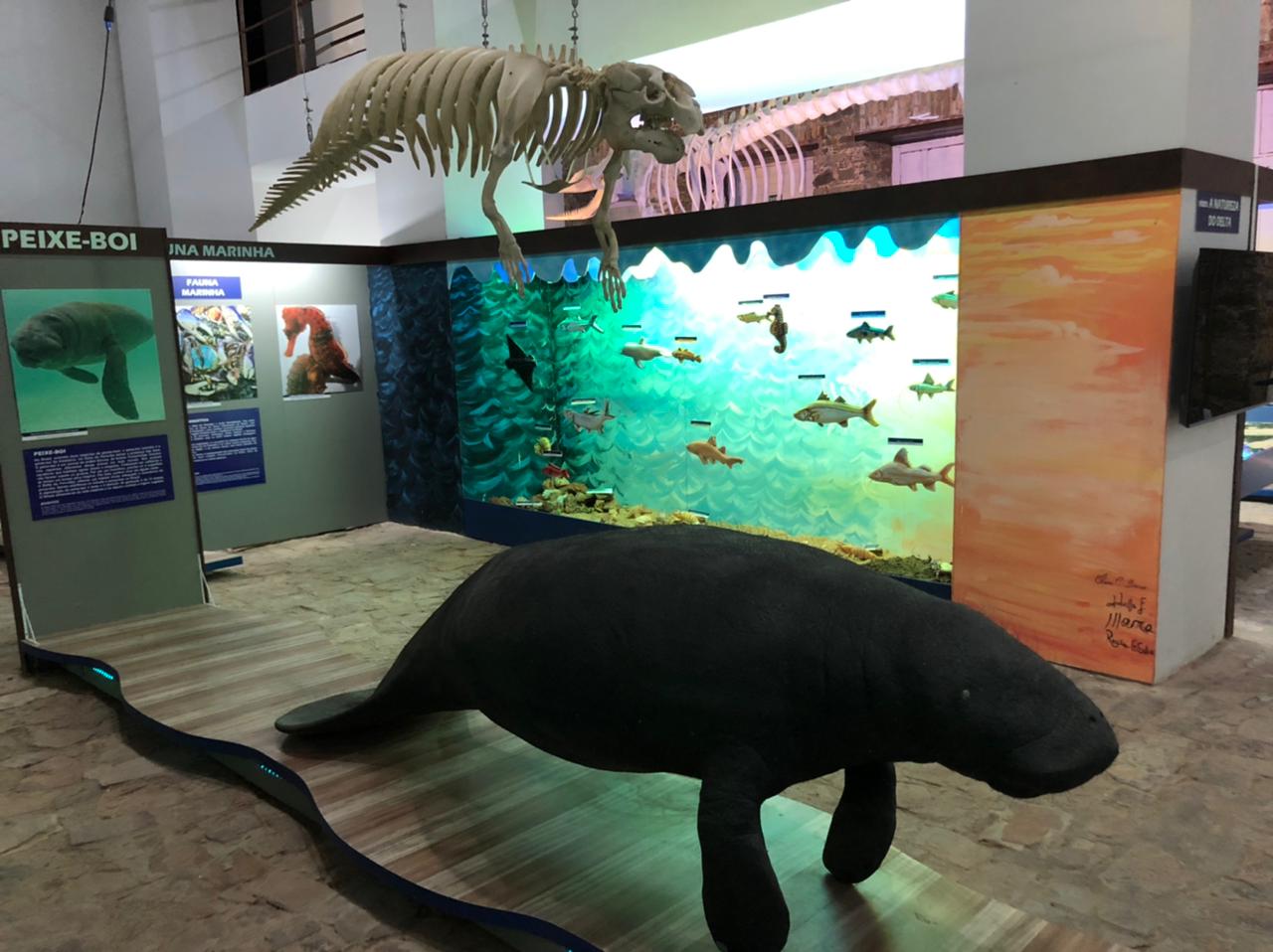Museu do Mar