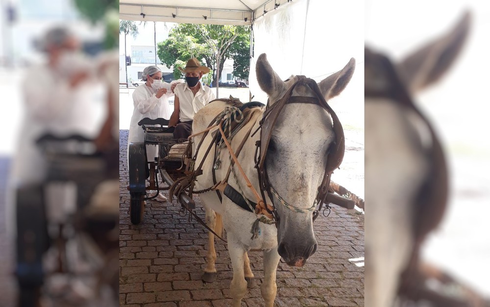 Idoso de 90 anos vai de carroça se vacinar contra a Covid-19